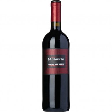 Arzuaga La Planta Ribera del Duero Semi Crianza, 0,75l